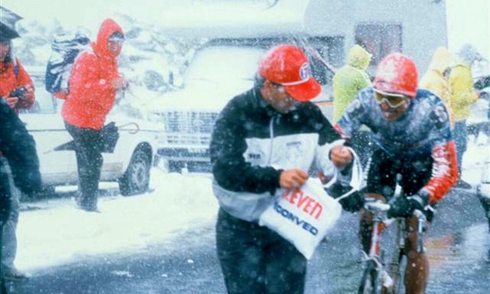 gavia 1988