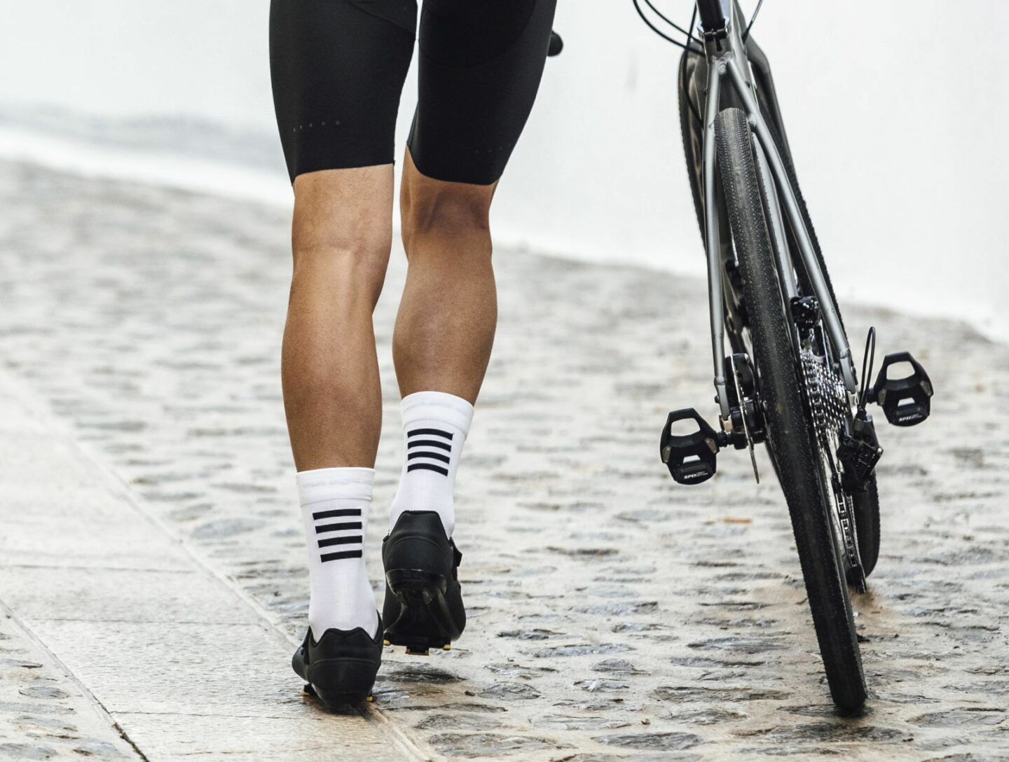 gavia socks