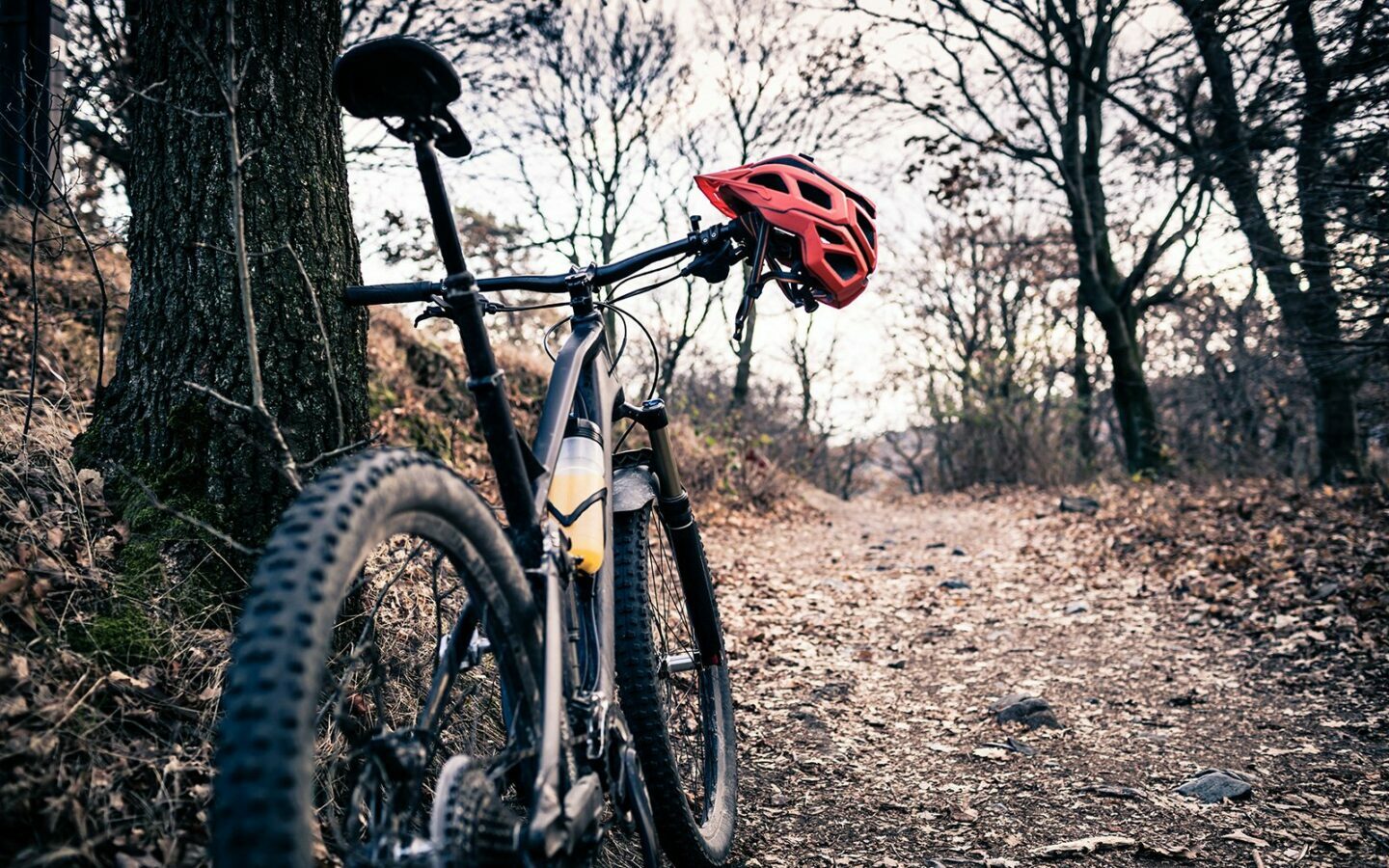 Tips om je eerste mountainbike te – CYCLING COMMUNITY