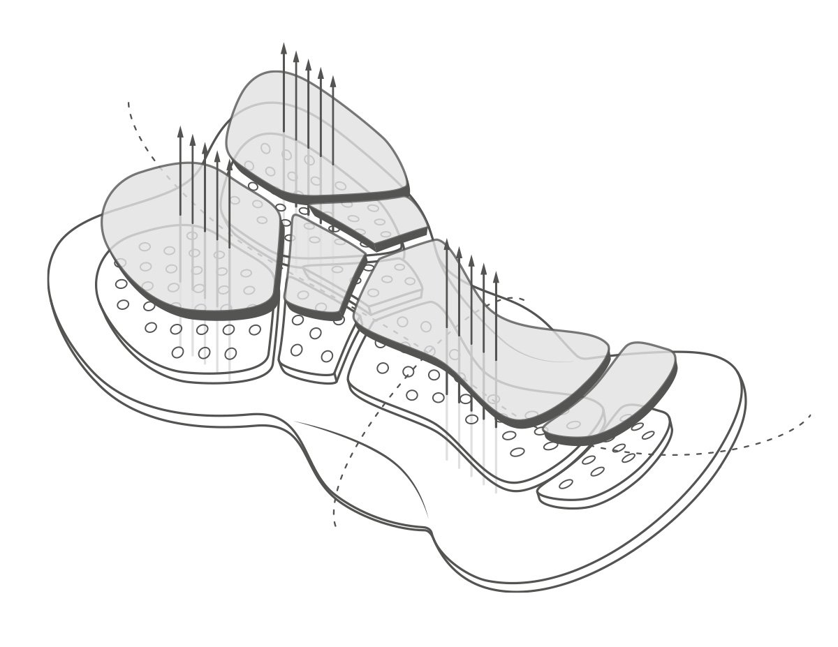 bibshort basic detail 1