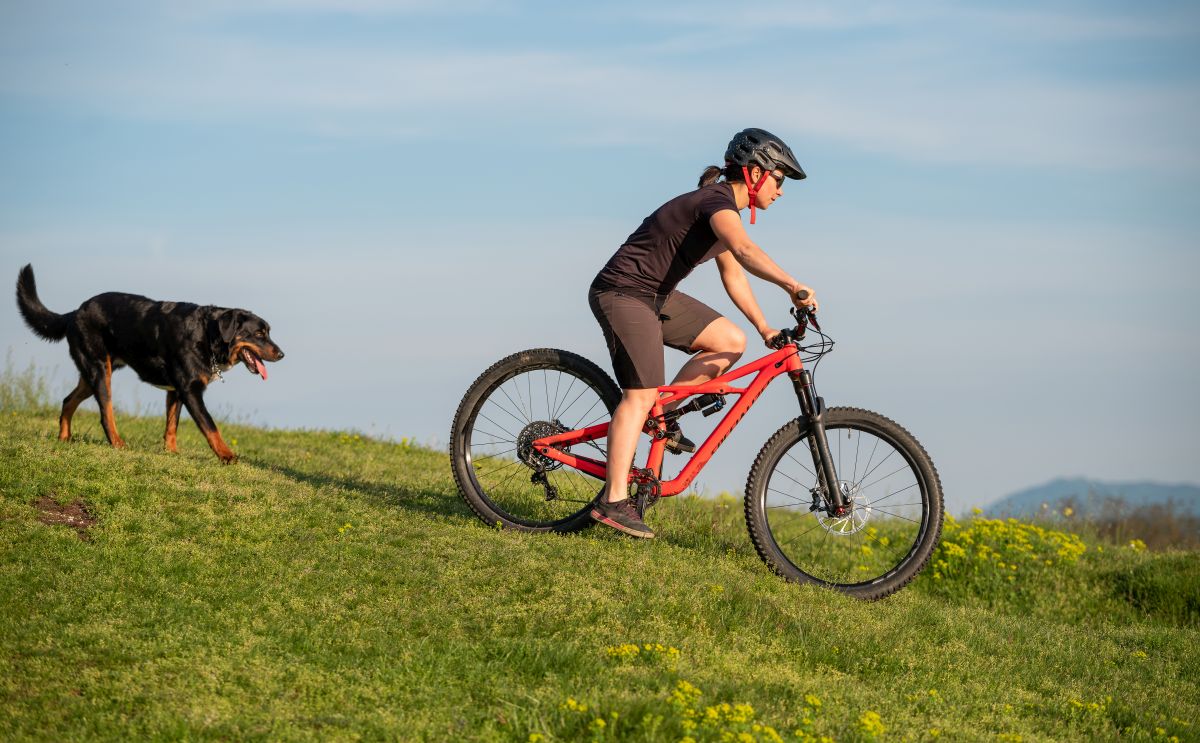 Mountainbiken: Voor- en nadelen van hardtail vs full suspension image 11