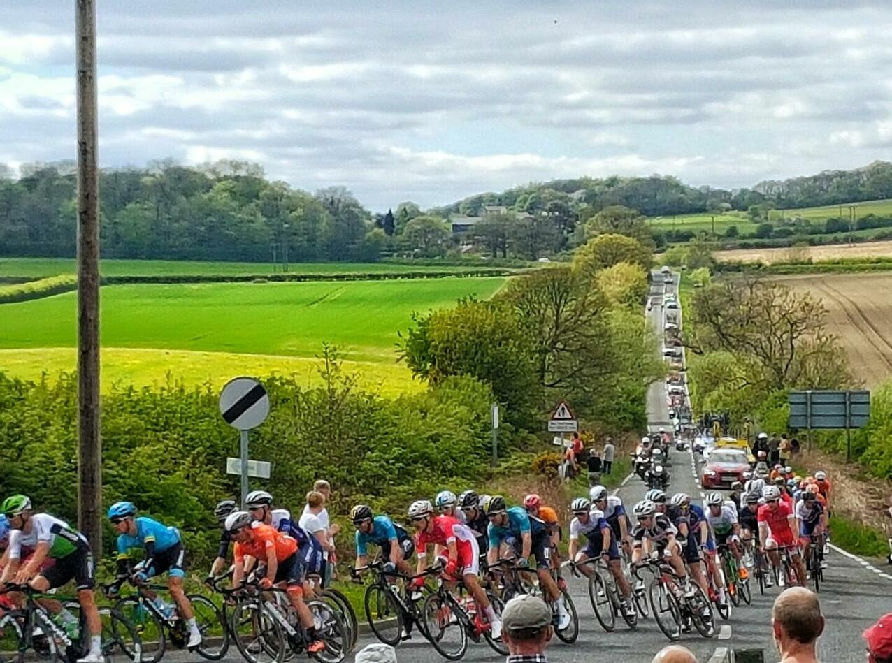 Guía para entender el ciclismo profesional de carretera: 10 claves para entender cualquier carrera en 10 minutos bicycle race on country road on cloudy day 2026 01 05 00 22 41 utc